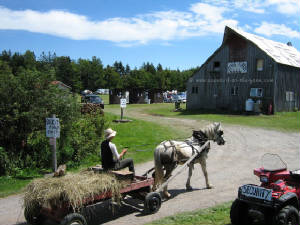 sat.11thcornboil0017.jpg