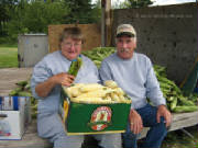 sat1kornrnboil0614812.jpg